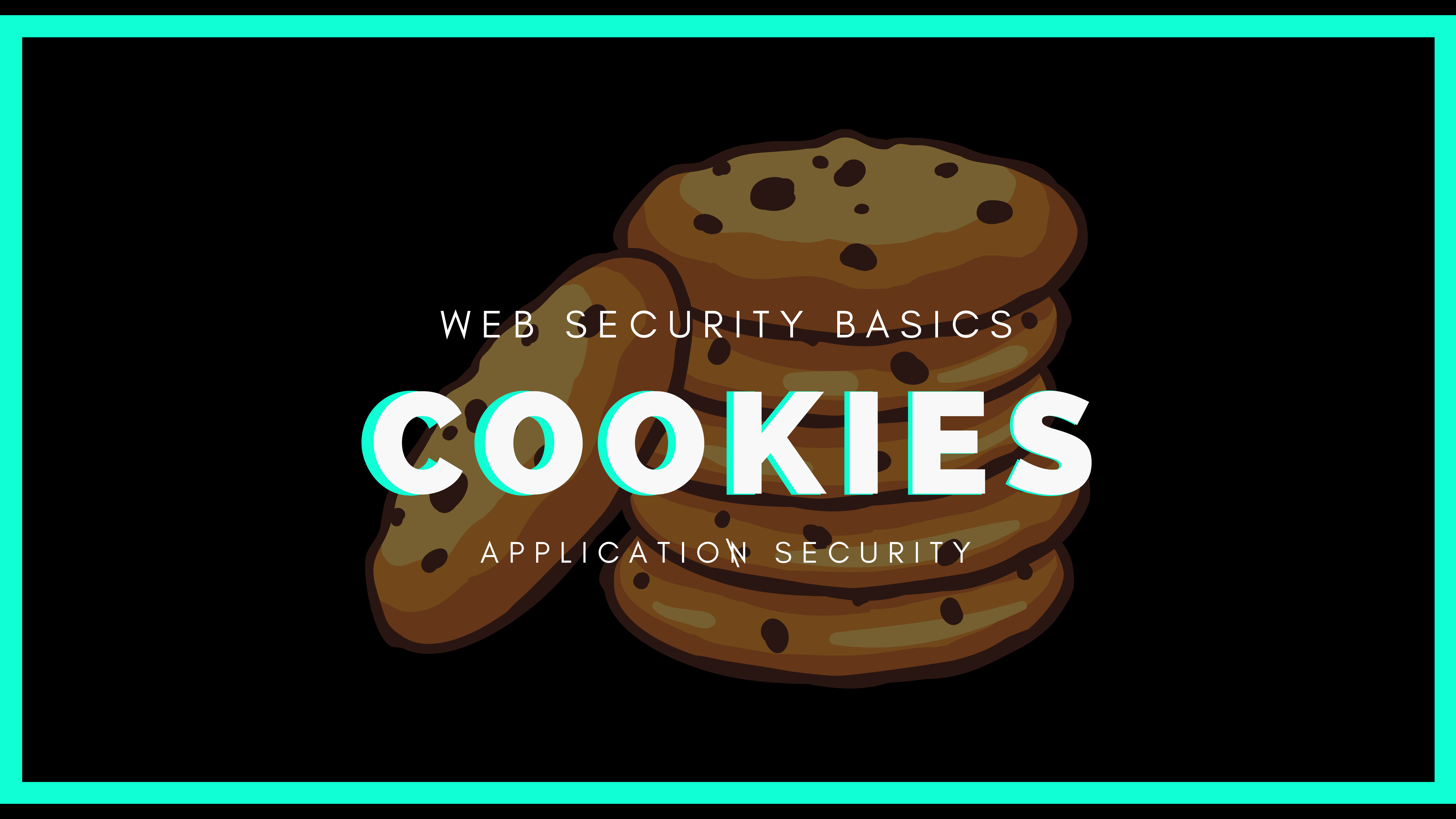 What are cookies and why are they used? basics of web security
